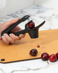 Cherry/Olive Pitter