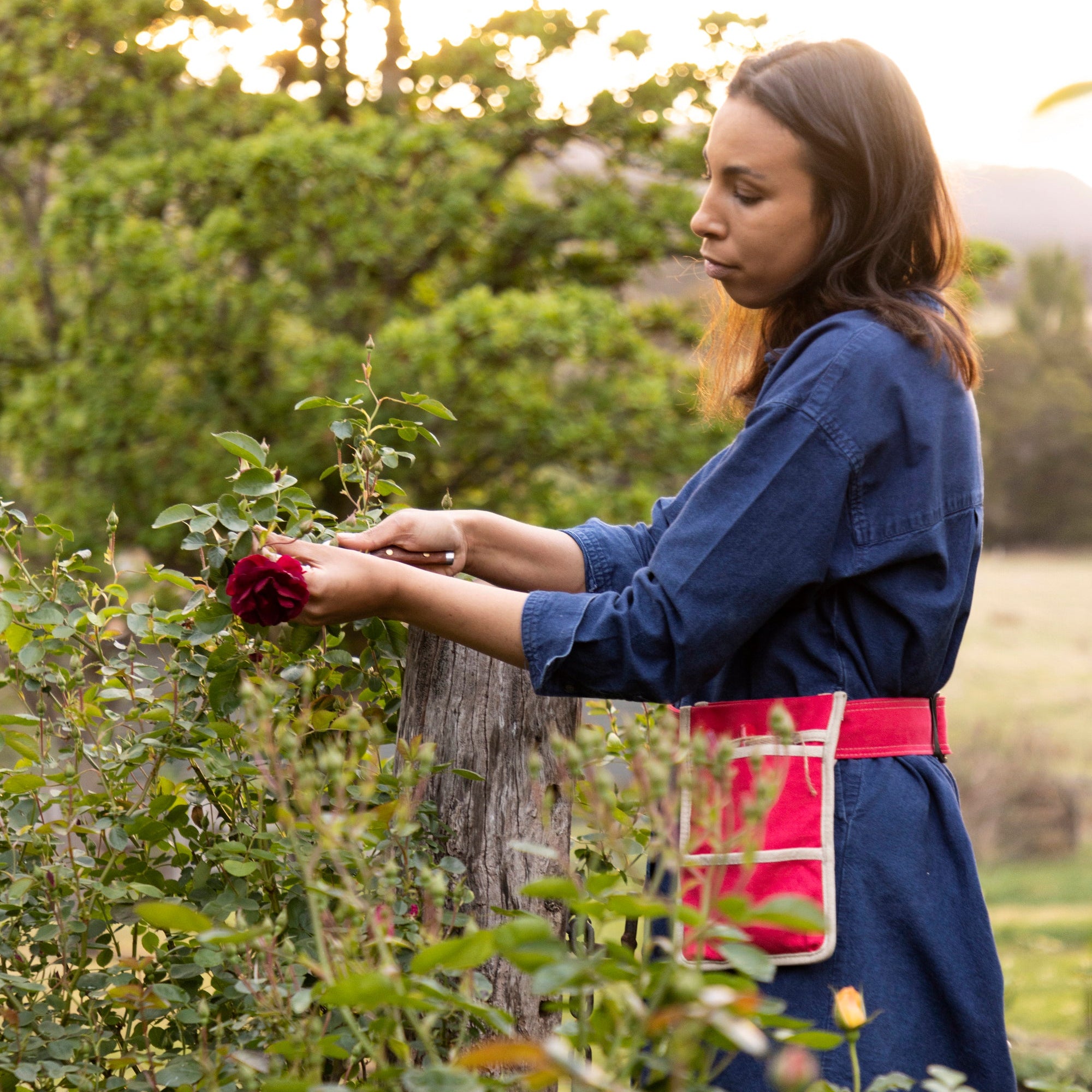 Canvas Gardening Belt - Red