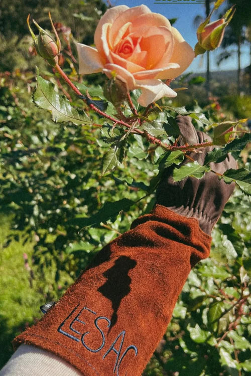 Suede - Thorn Proof Gardening Gloves, Medium
