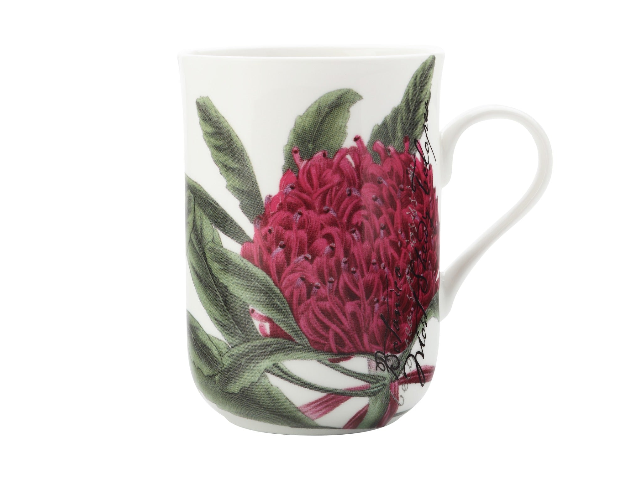 Botanic Floral - 300ml FBC Mug, Telopea