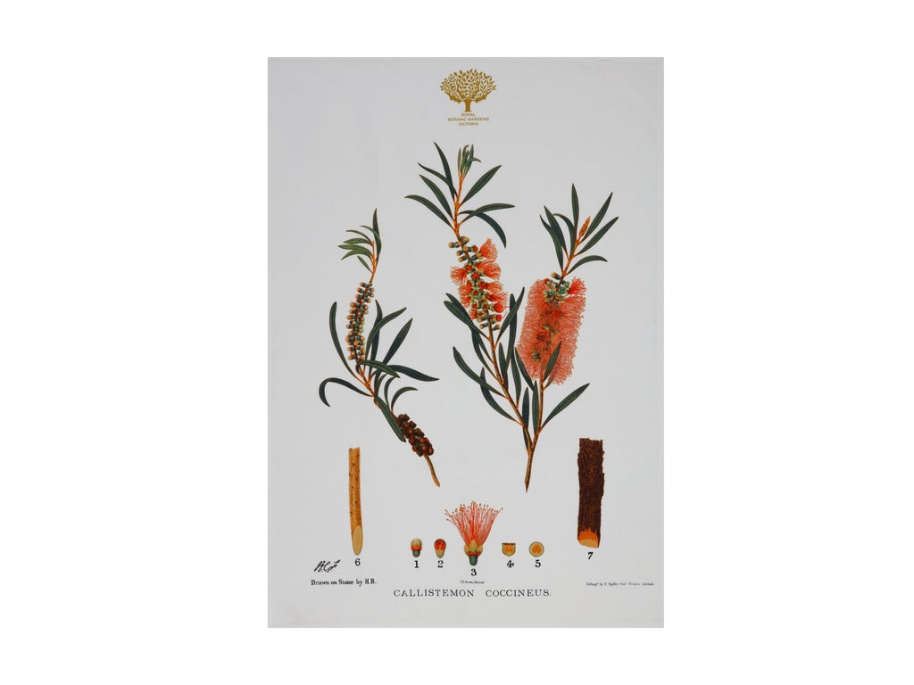 Botanic Floral - Teatowel, B&