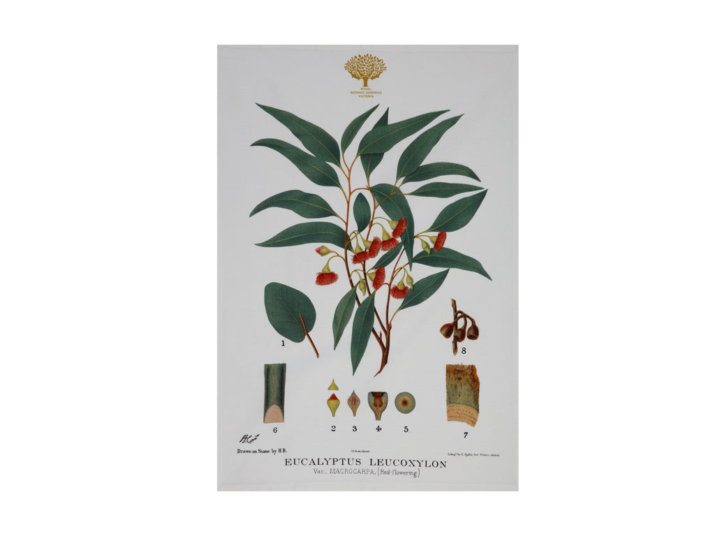 Botanic Floral - Teatowel, Gum