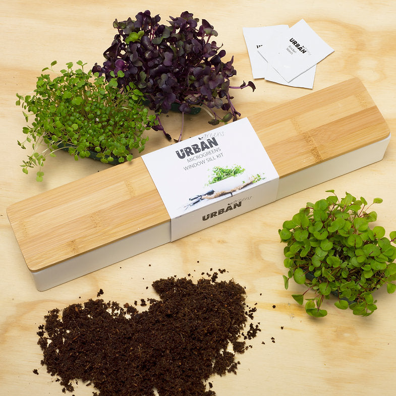 MicroGreens - 40cm Windowsill Kit