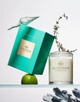 Lost in Amalfi - 380g Soy Candle