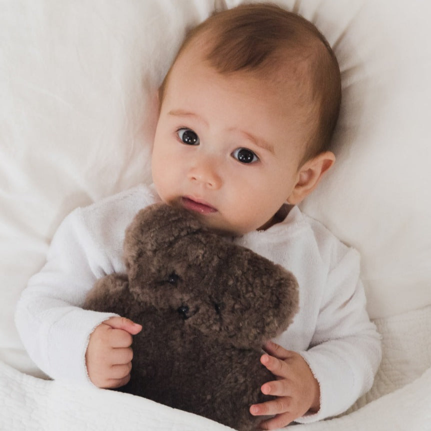 FLATOUTbearbaby - Chocolate