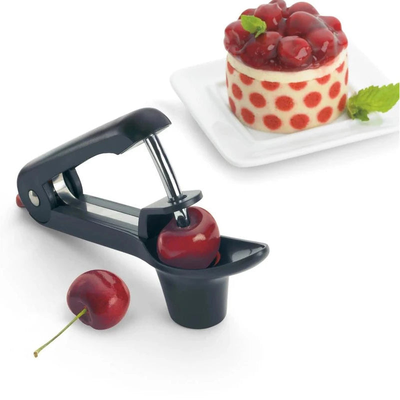 Cherry/Olive Pitter