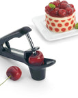 Cherry/Olive Pitter