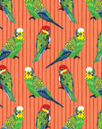 All Wrapped Up: Birds and Bugs