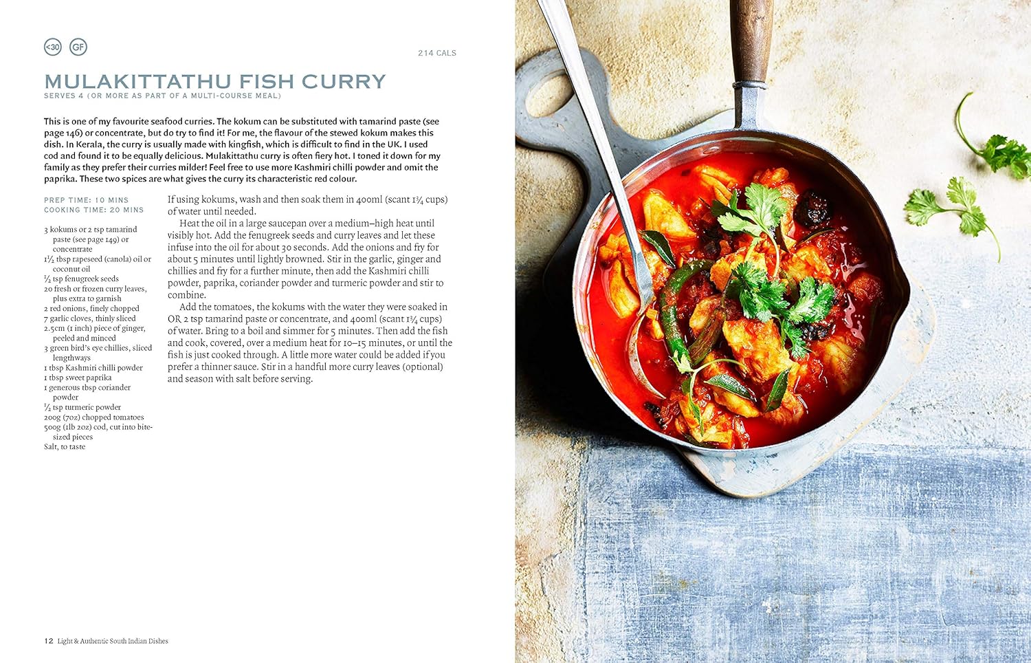 The Curry Guy - Light