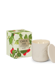 Raspberry & Rhubarb - 300g Soy Candle