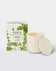Alchemy - 300g Candle, White Tea & Wild Mint