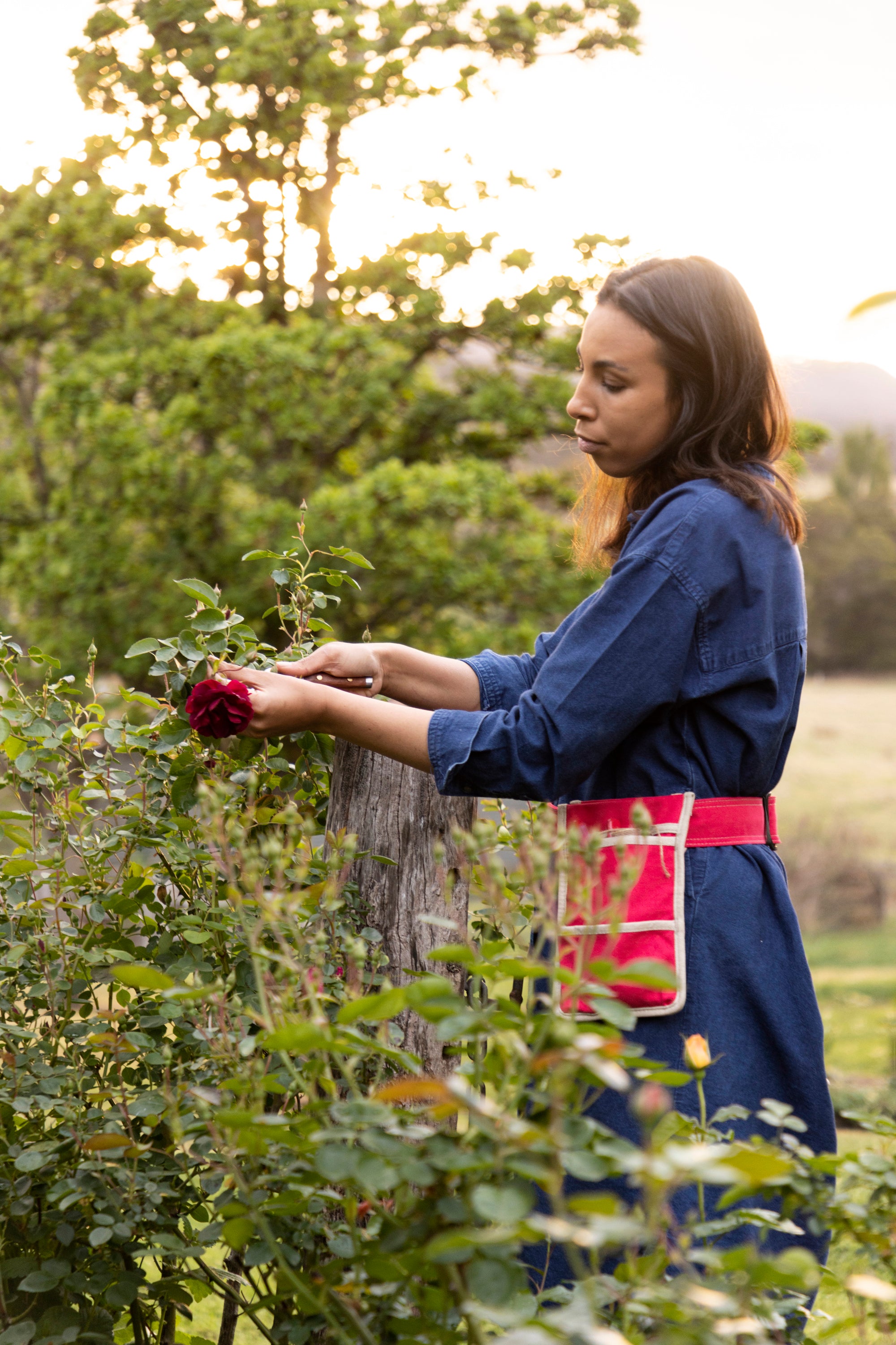 Canvas Gardening Belt - Red