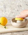 Garden to Table - 13cm Citrus Juicer