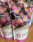 Everlastings - 10g Packet, Pink & White
