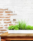 MicroHerbs - 40cm Windowsill Kit