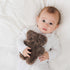 FLATOUTbearbaby Chocolate