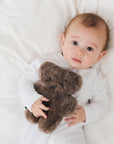 FLATOUTbearbaby Chocolate