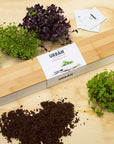 MicroGreens - 40cm Windowsill Kit