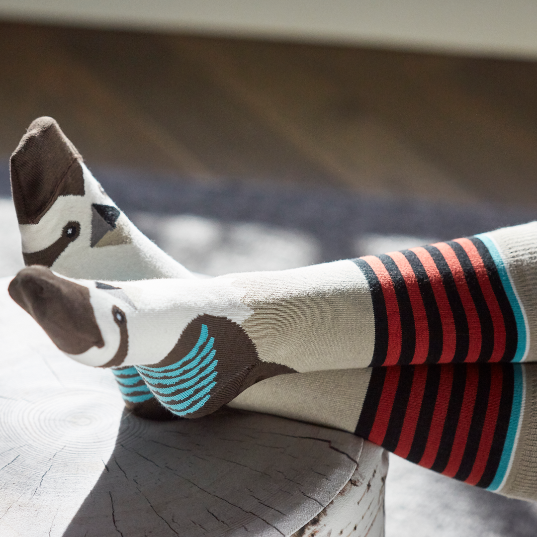 Kookaburra - 100% Aussie Socks