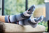 Wilson Payne Koala 100% Aussie Socks